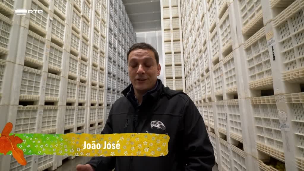 Imagem de Entre o Mar e a Terra - Guardiões das Águas, Servos da Terra