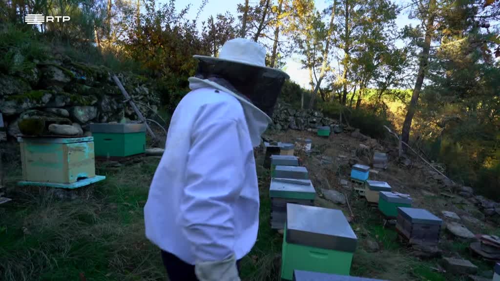 Imagem de Entre o Mar e a Terra - No Teto do Mundo Português