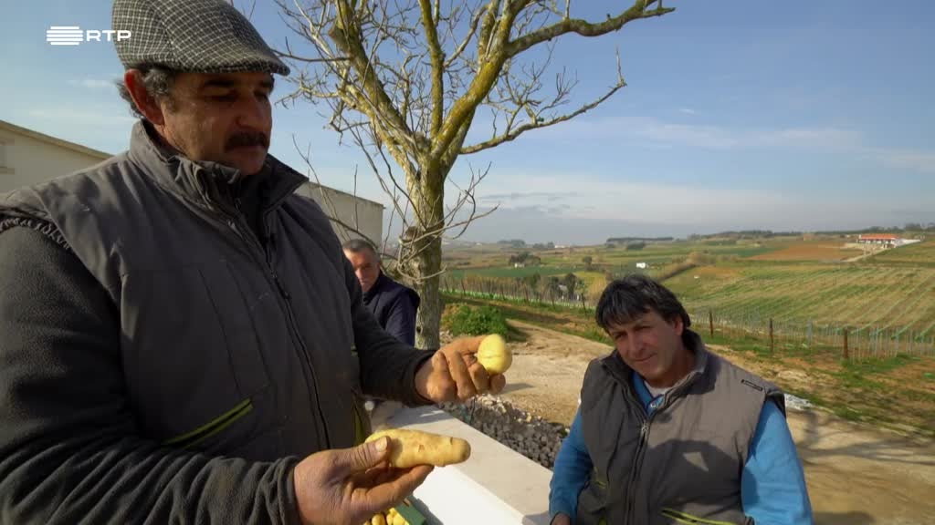 Imagem de Entre o Mar e a Terra - A Oeste, Tudo de Novo