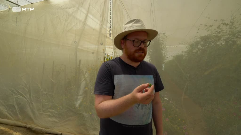 Imagem de Entre o Mar e a Terra - O Cheiro da Terra Raiana