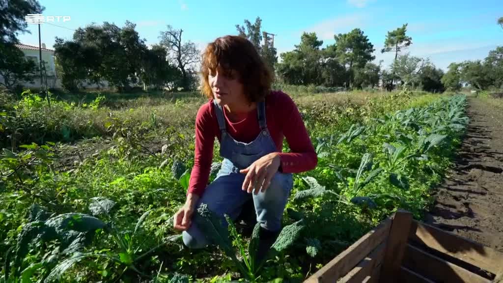 Imagem de Entre o Mar e a Terra - Rio Abaixo, Mar Adentro e Serra Acima