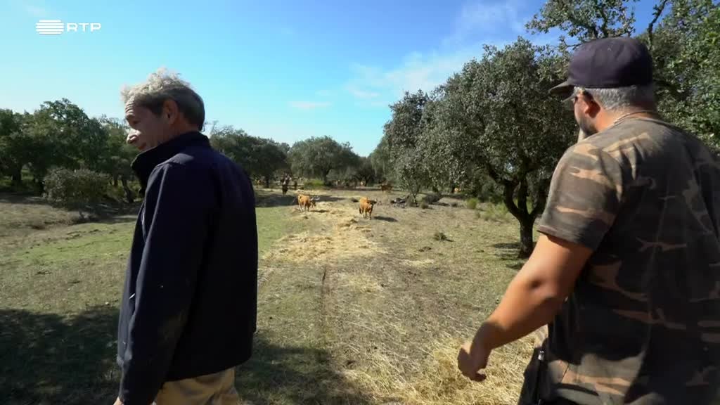 Imagem de Entre o Mar e a Terra - Montado, O Paraíso Terreal