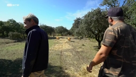 Imagem de Montado, O Paraso Terreal