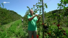 Imagem de Guardies das guas, Servos da Terra