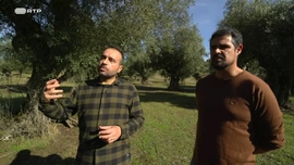 Imagem de O Cheiro da Terra Raiana