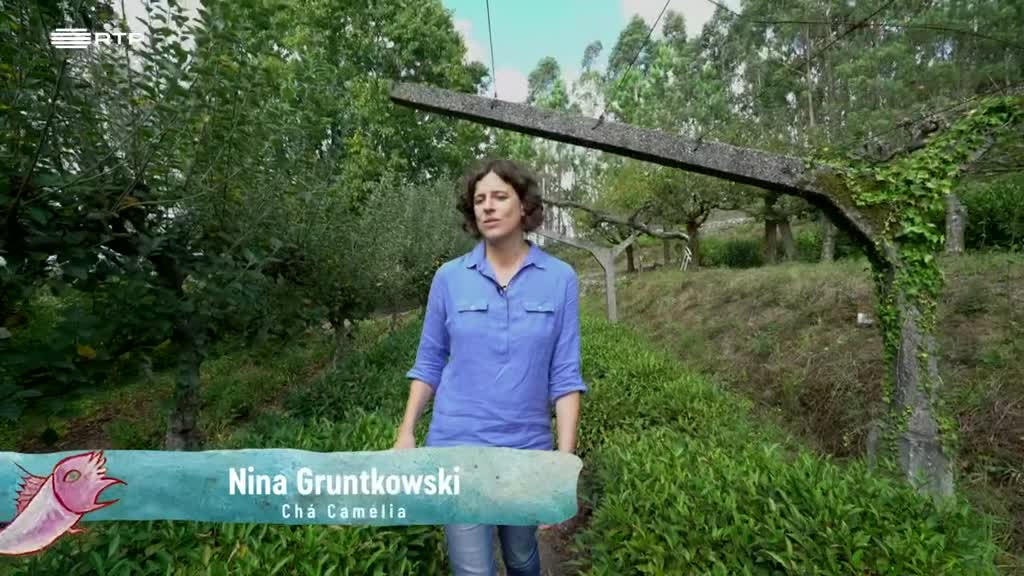 Imagem de Entre o Mar e a Terra - Por Este Rio Acima