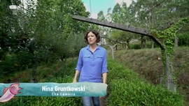 Imagem de Por Este Rio Acima