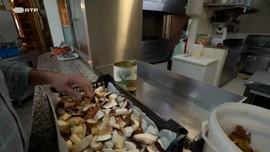 Imagem de Minho Verde, Minho Verde