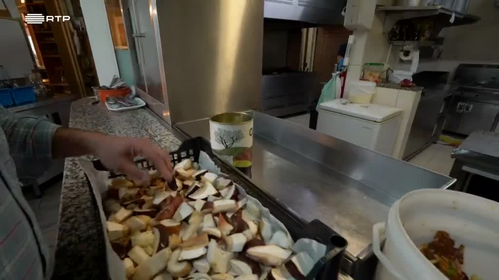 Imagem de Entre o Mar e a Terra - Minho Verde, Minho Verde