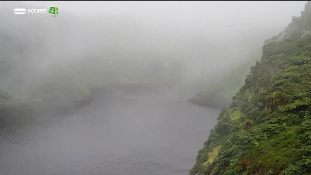 Imagem de Naturalmente Flores