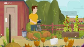 Imagem de Ana Ladina