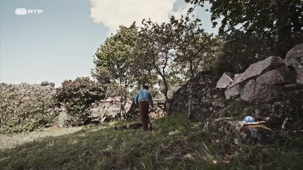 Imagem de Histórias da Montanha - A Maria Lionça