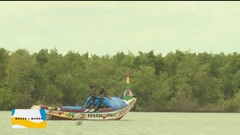 Imagem de Mudar o Mundo - Proteger a Vida Marinha / Proteger a Vida Terrestre