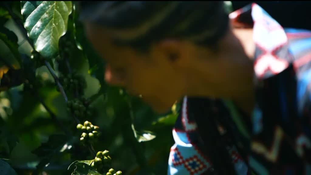 Imagem de Afrikando Angola - Cuando Cubango