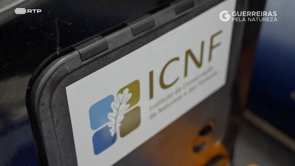 Imagem de Guerreiras pela Natureza