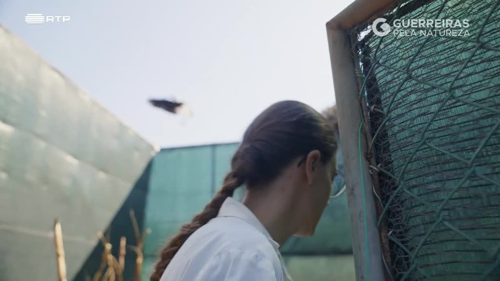 Imagem de Guerreiras pela Natureza