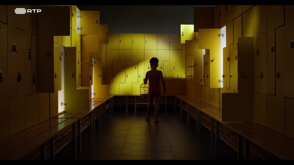 Imagem de Raízes e Frutos - Medo e Coragem