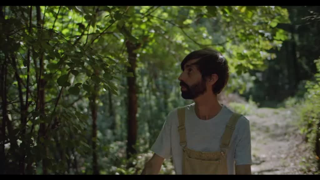 Imagem de Raízes e Frutos - Espiritualidade