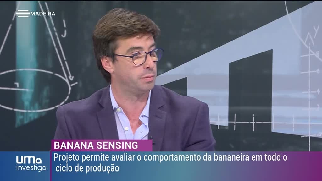 Imagem de UMa Investiga