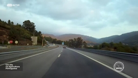 Imagem de Um Dia na Agricultura Portuguesa