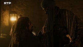 Imagem de Boi Vermelho