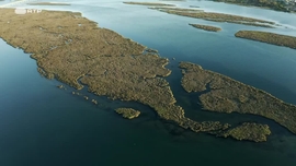 Imagem de Rio Lima - Viana Do Castelo