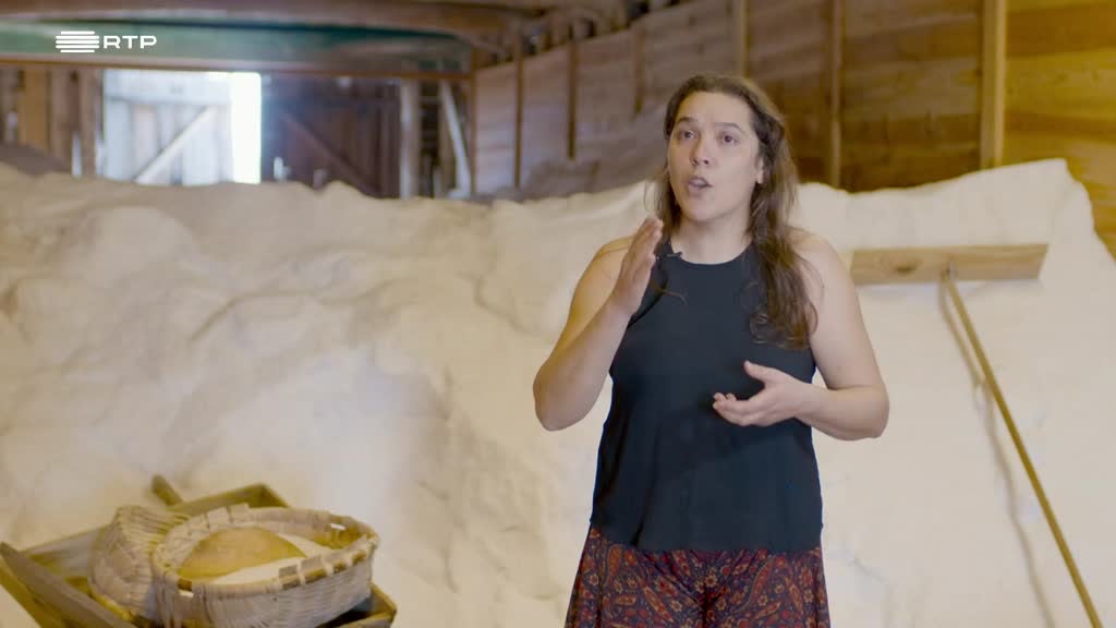 Imagem de Rios Urbanos - Rio Mondego - Figueira da Foz