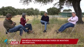 O Montado em Portugal