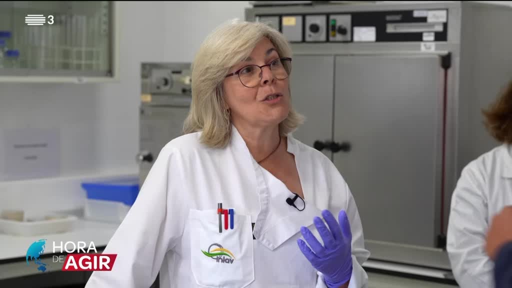 Imagem de Hora de Agir - Investigação no Setor Agrícola e Florestal - II