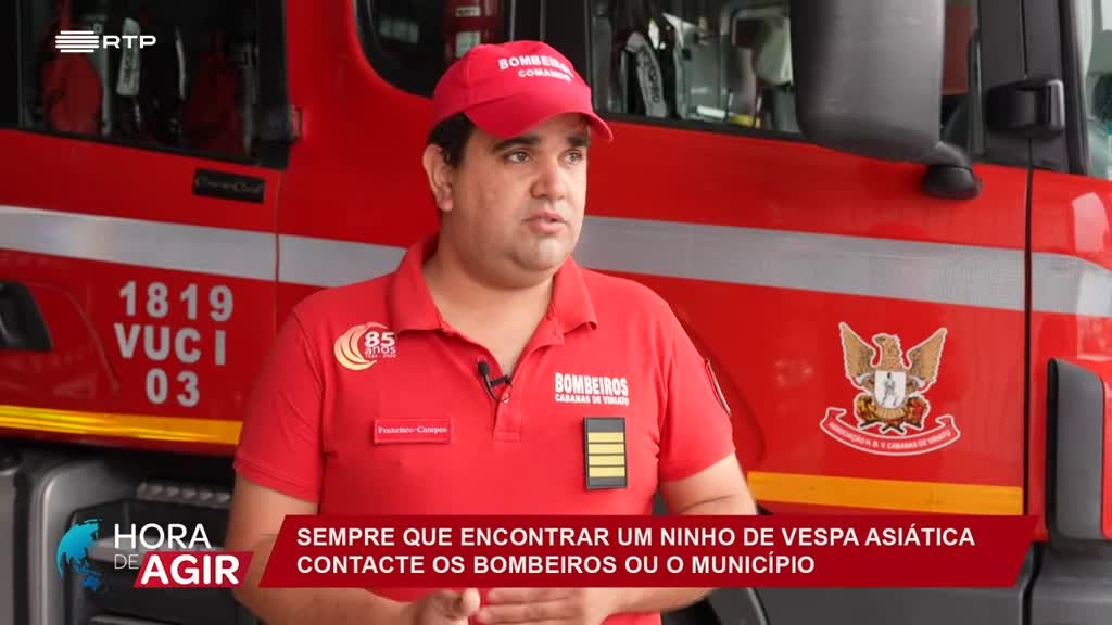 Imagem de Hora de Agir - Espécies Animais Invasoras