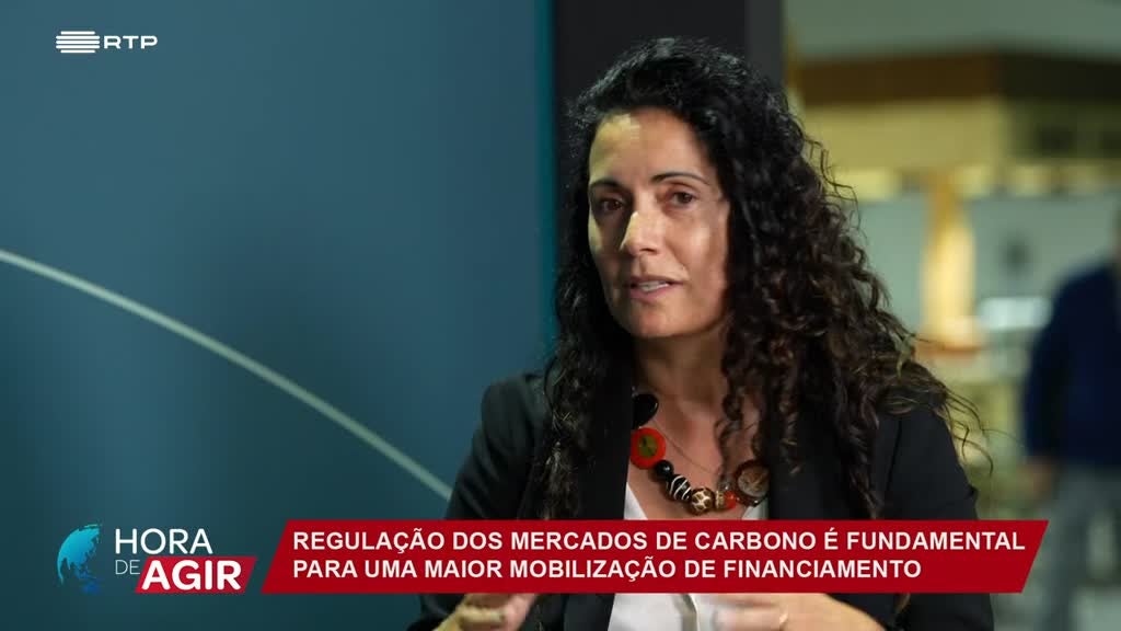 Imagem de Hora de Agir - Os Mercados de Carbono