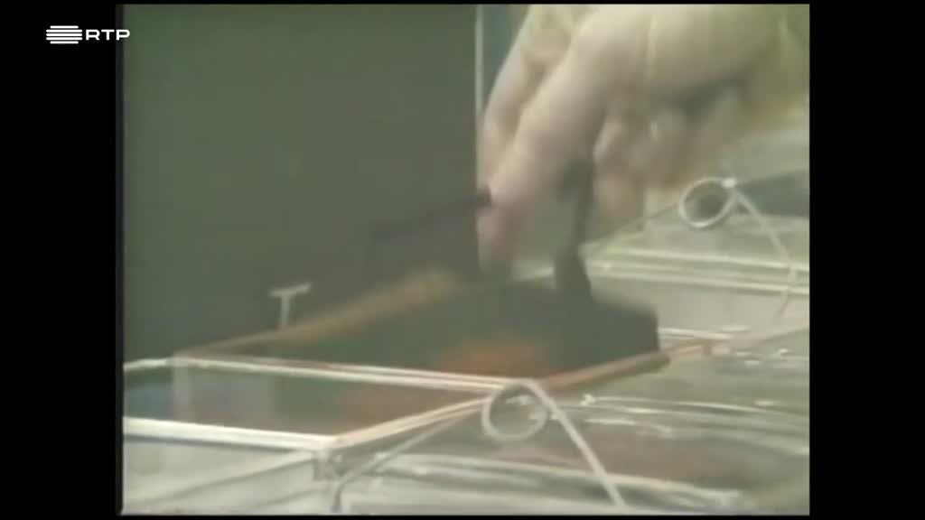 Imagem de SIDA 4.0 - O VIH-2 e a Cooperação com os PALOP