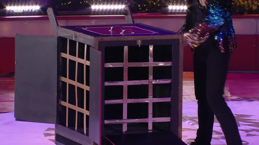 Imagem de Circo de Natal