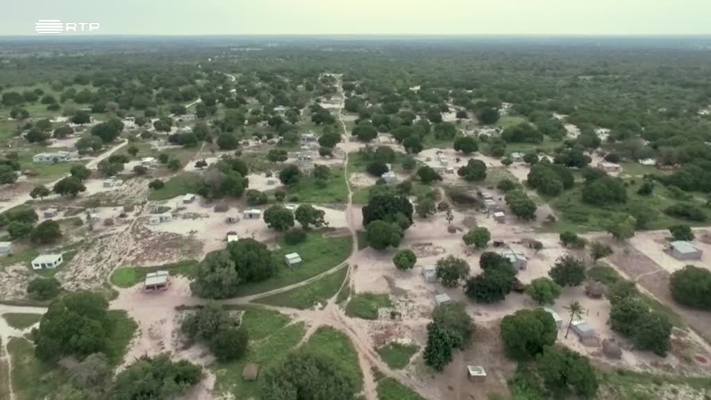 Imagem de Ases d´África - Mbate Pedro - Moçambique