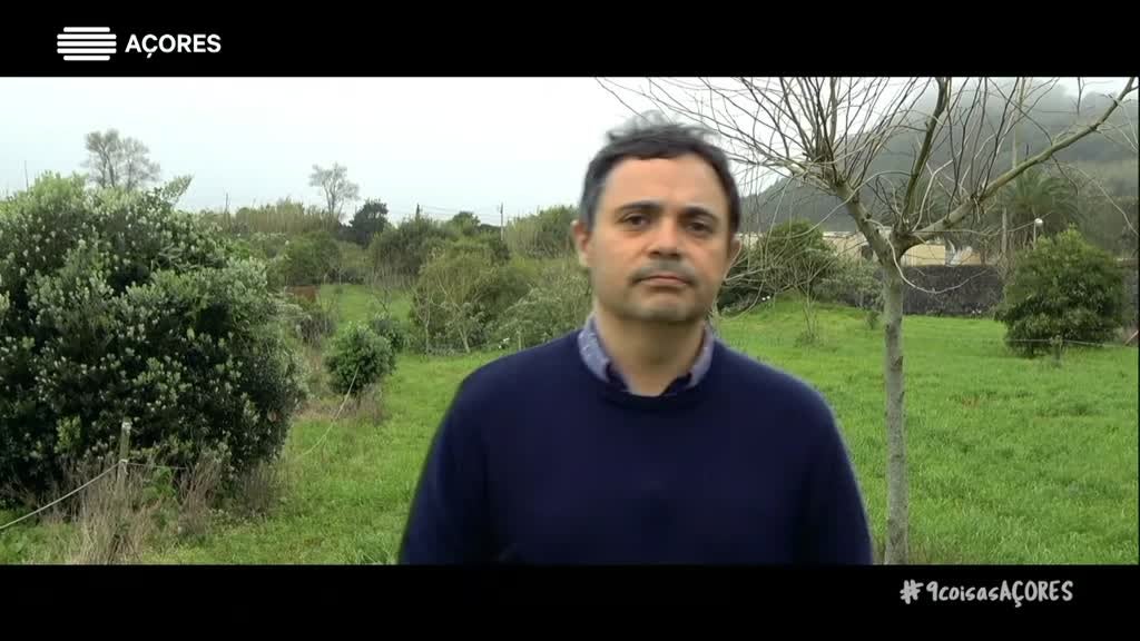 Imagem de 9 Coisas que não sabes sobre... | T2 - O Queijo de São Jorge