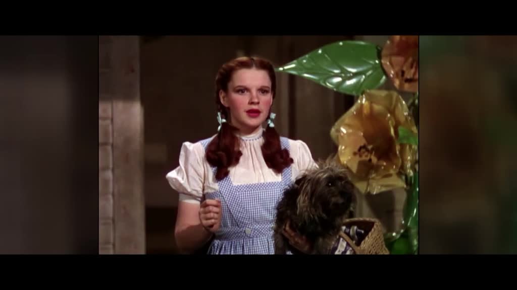 Imagem de Janela Indiscreta