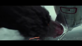 Imagem de Janela Indiscreta