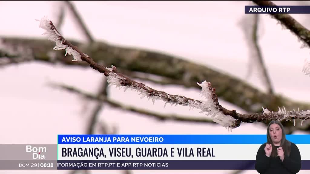 Imagem de Bom Dia Portugal Fim de Semana