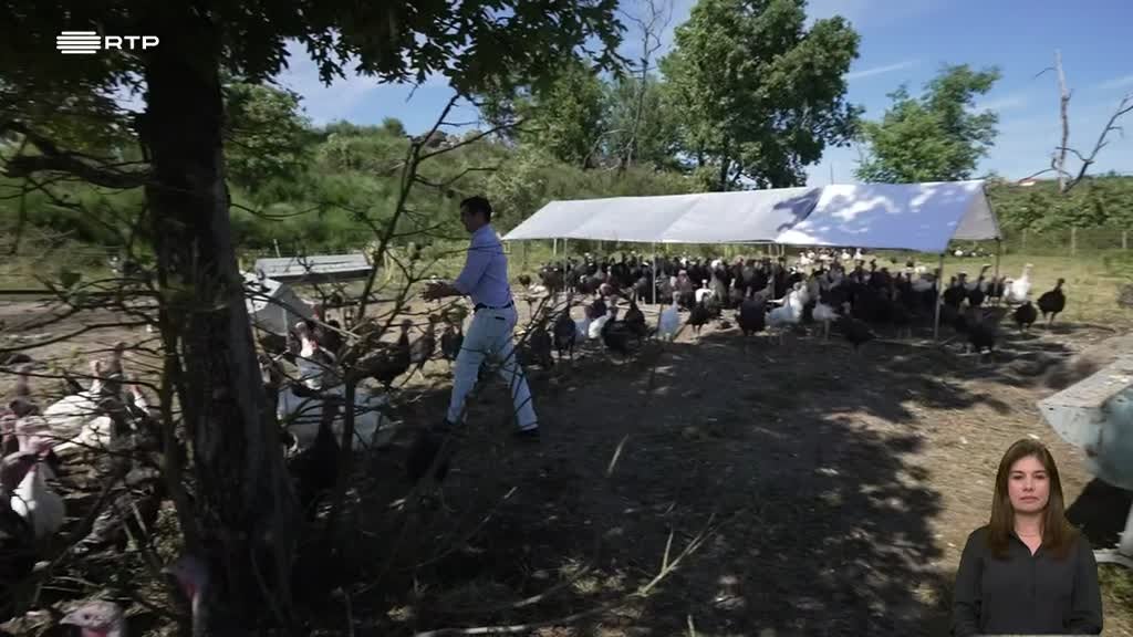 Imagem de Voz do Cidadão