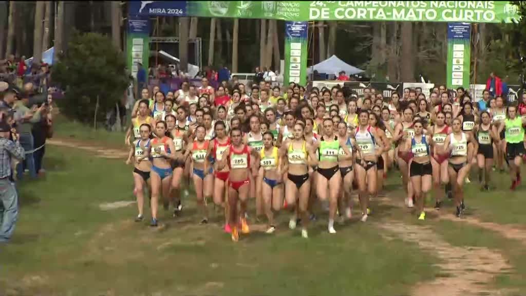 Imagem de Desporto 2