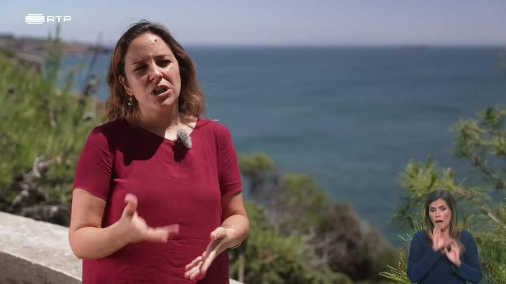 Imagem de Biosfera - Como Aliar a Economia Azul à Conservação Marinha?