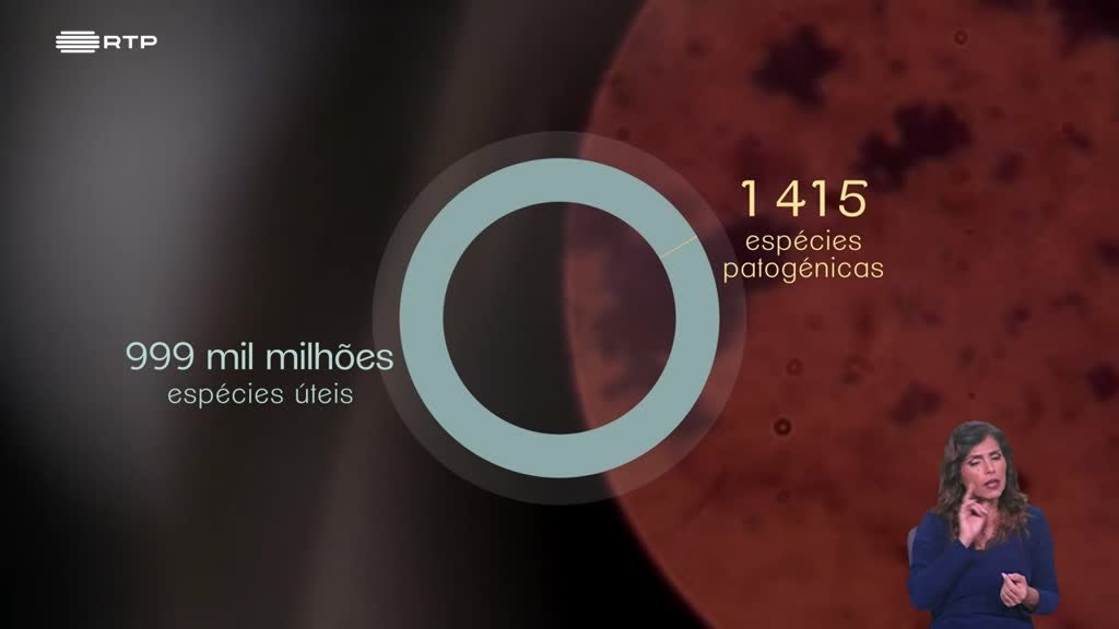 Imagem de Biosfera - O Segredo dos Microrganismos