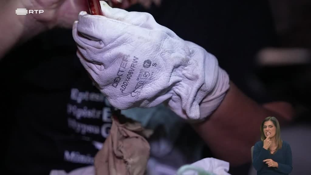 Imagem de Biosfera - Morcegos Cavernícolas