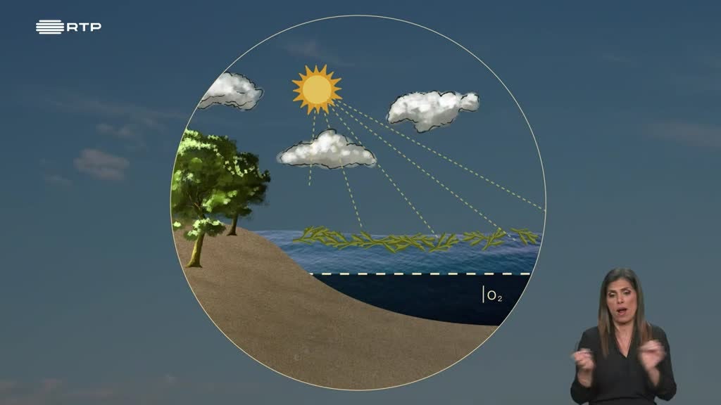 Imagem de Biosfera - Nitratos: Contaminação Invisível
