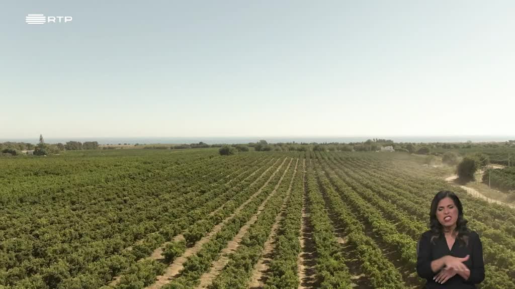 Imagem de Biosfera - Natureza à Mesa