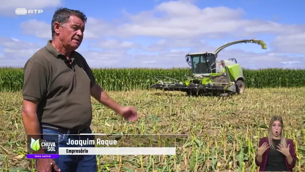 Imagem de Faça Chuva Faça Sol