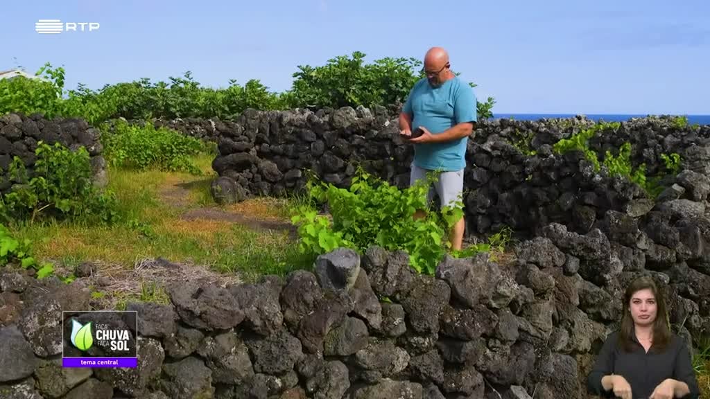Imagem de Faça Chuva Faça Sol