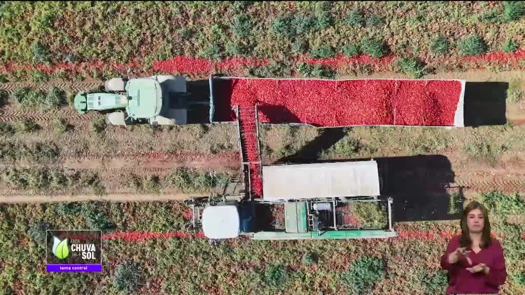 Imagem de Faça Chuva Faça Sol