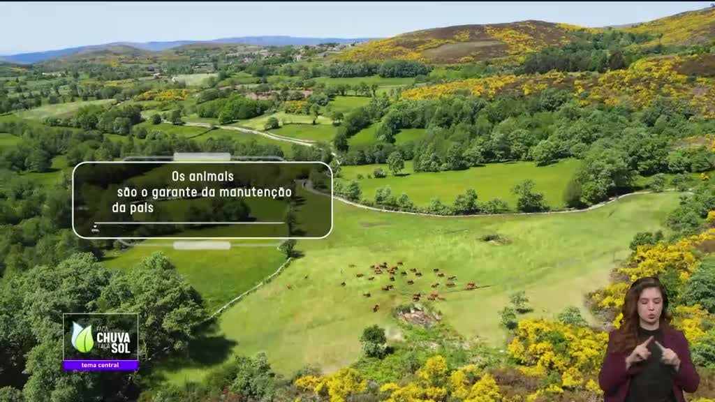 Imagem de Faça Chuva Faça Sol