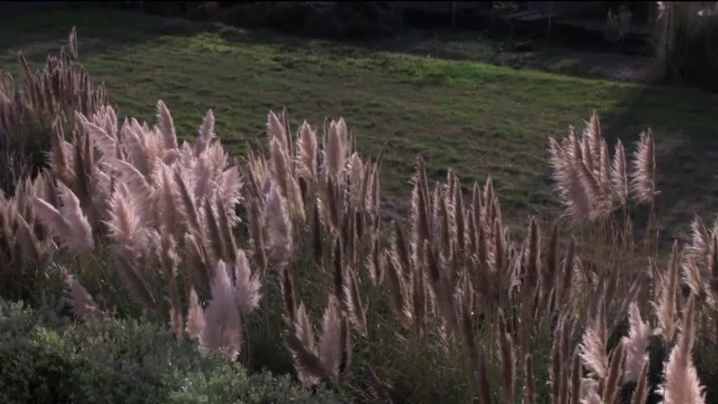 Imagem de Concentrados - Depósito de Concentrados